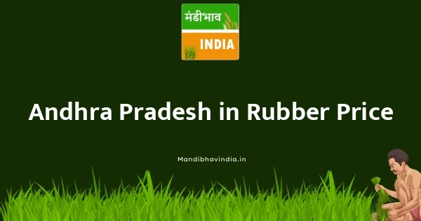 Rubber भाव
